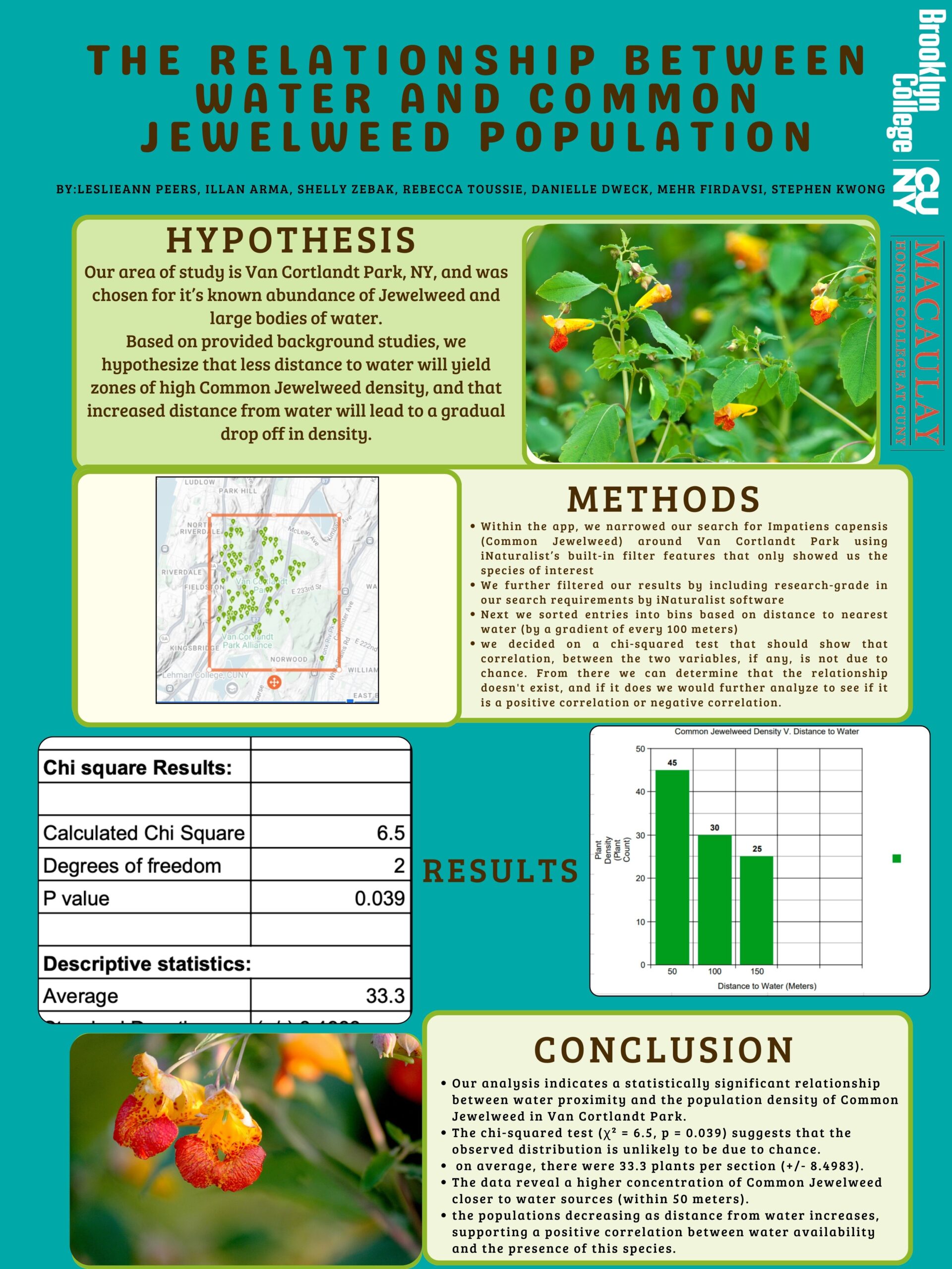 The Relationship Between Water and Common Jewelweed