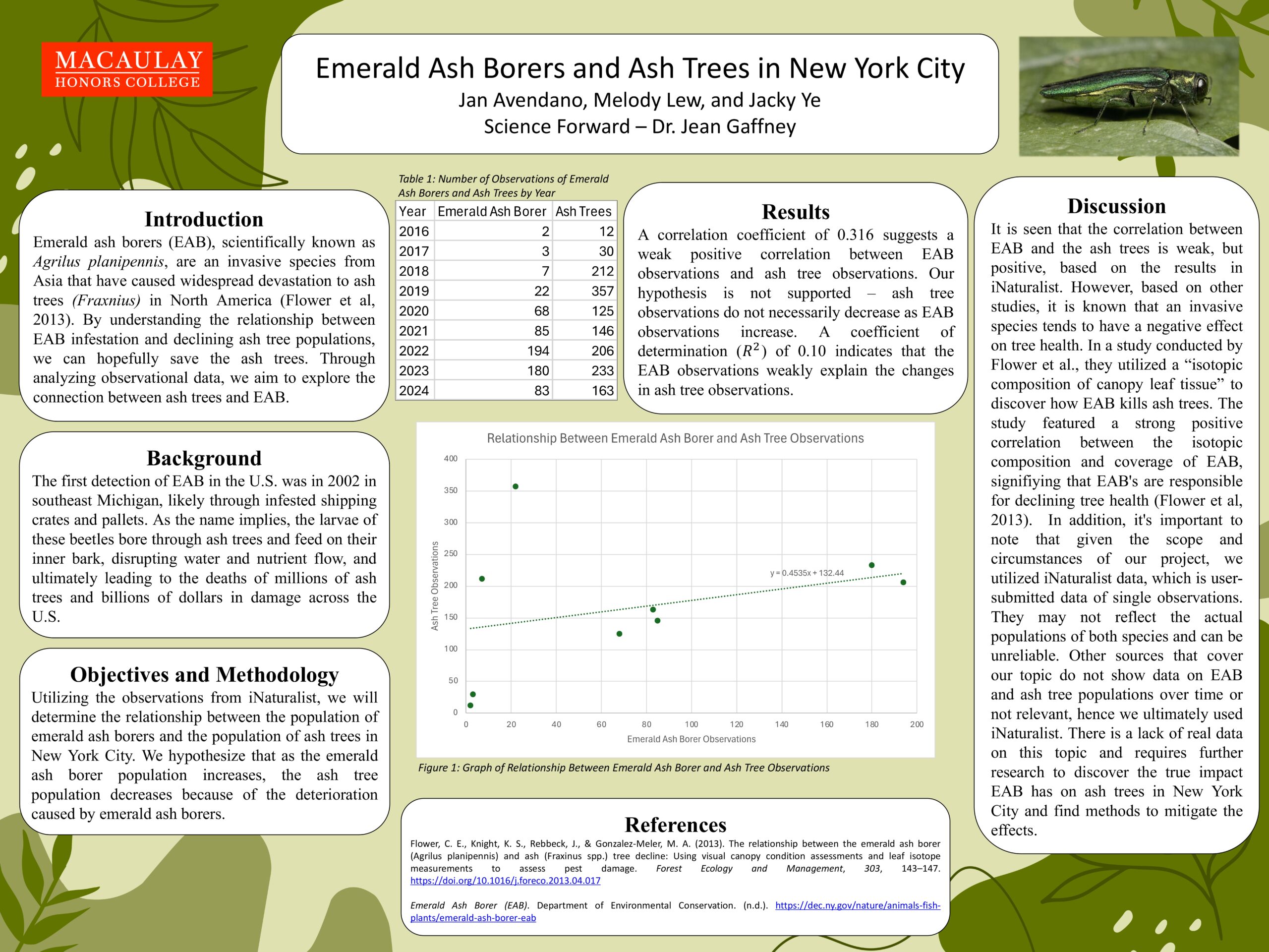 Emerald Ash Borers and Ash Trees in NYC