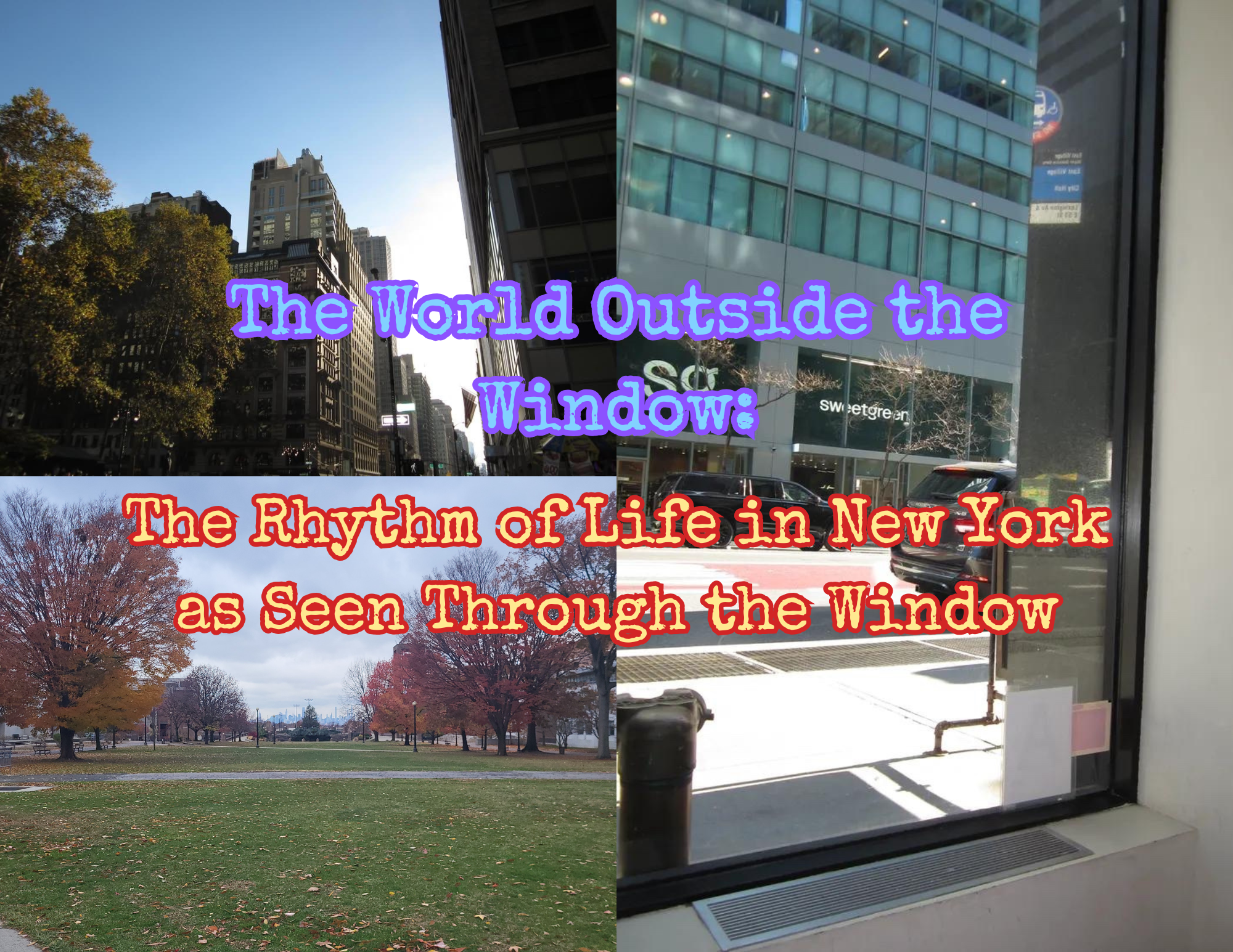 The World Outside the Window: The Rhythm of Life in New York as Seen Through the Window