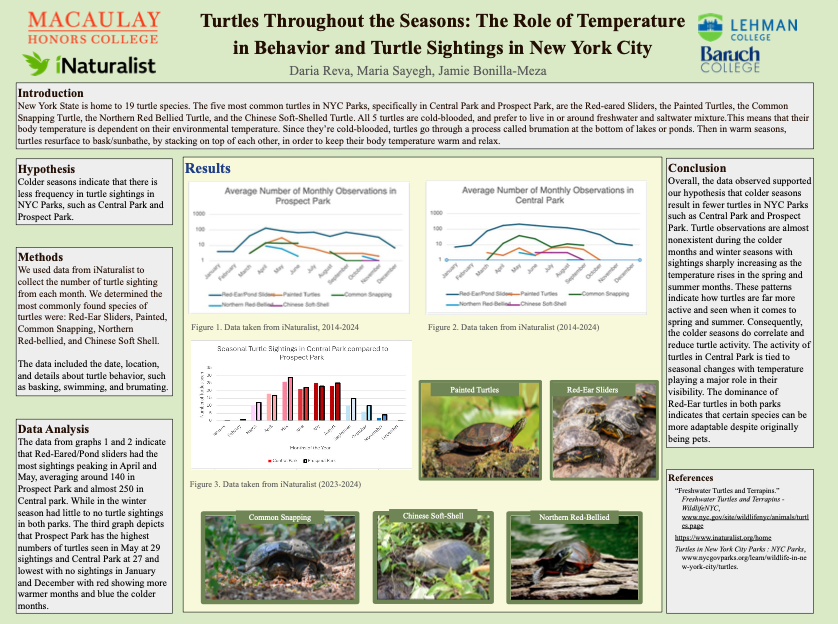 Turtles Throughout the Seasons: The Role of Temperature in Behavior and Turtle Sightings in New York City