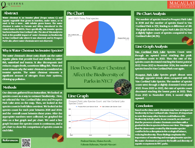 How does Water Chestnut affect the biodiversity of parks in NYC?