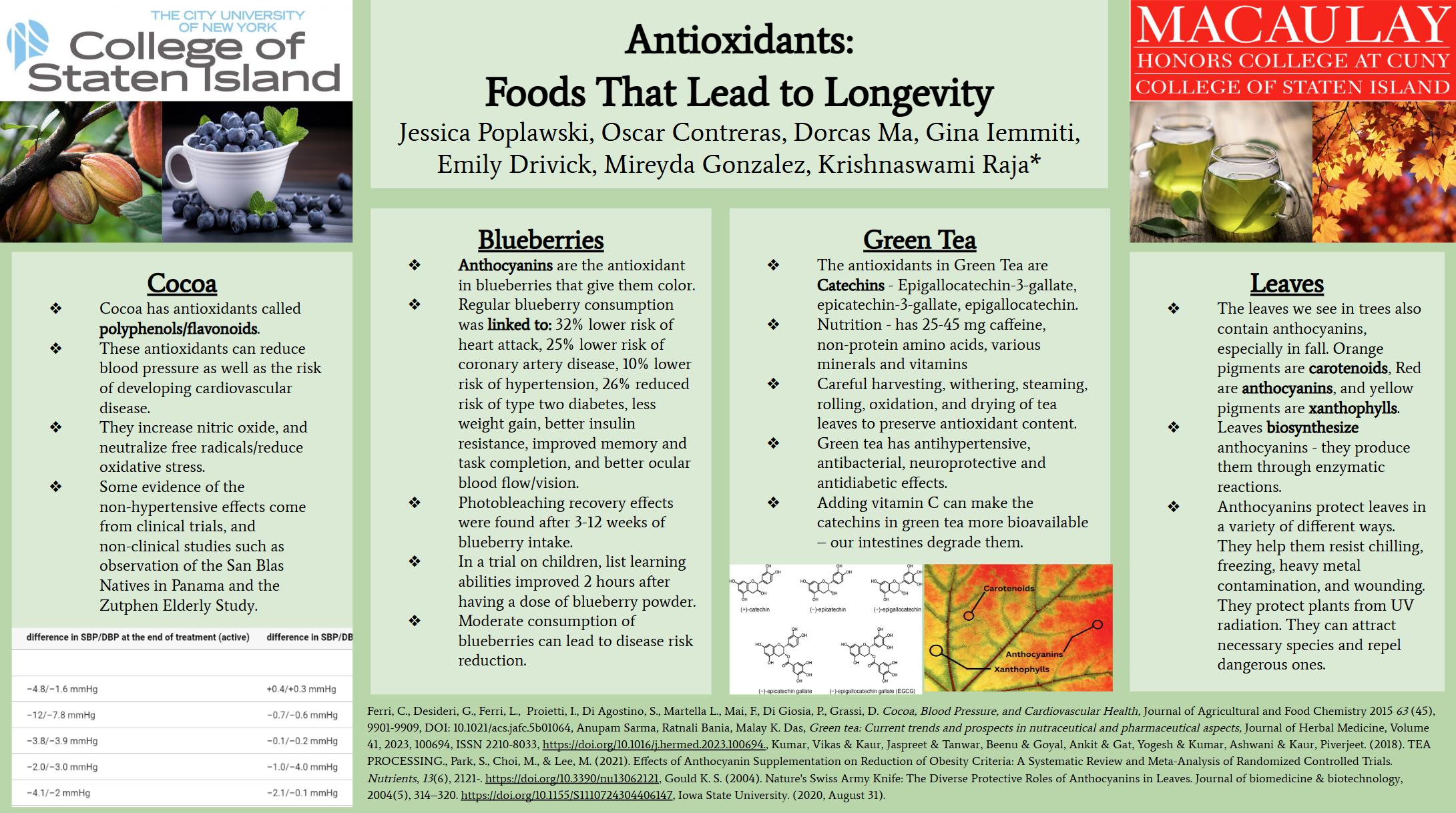 Antioxidants: Foods that Lead to Longevity