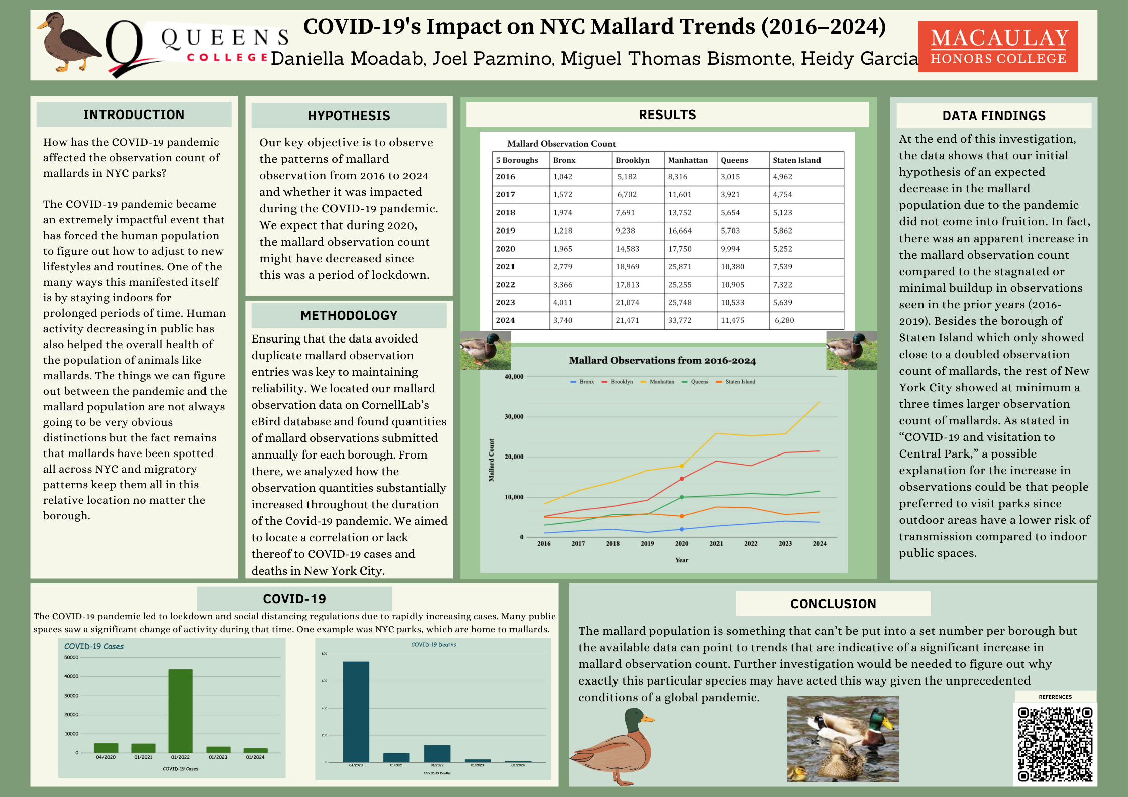 COVID-19’s Impact on NYC Mallard Trends (2016–2024)